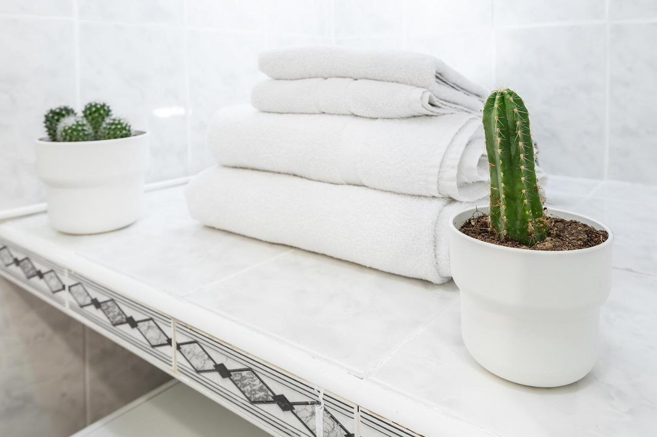 Apartamento Monkó Cactus *